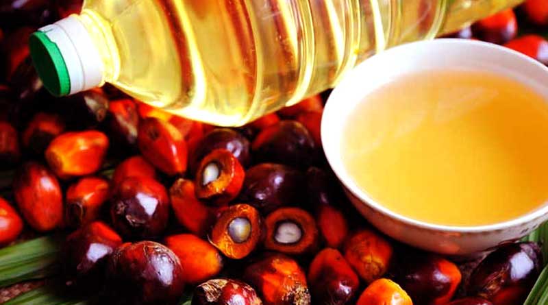 Palm Oil immune system vitamin e