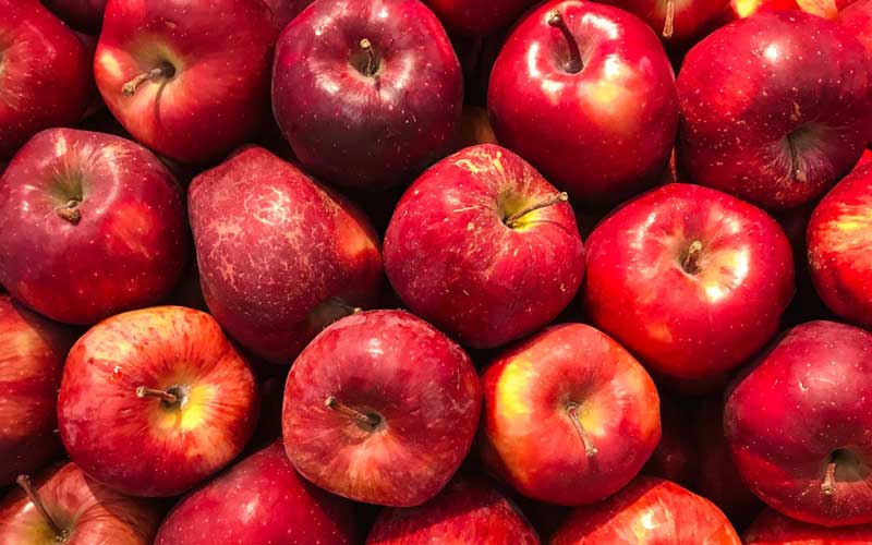 "phytonutrients in apples may boost brain function"