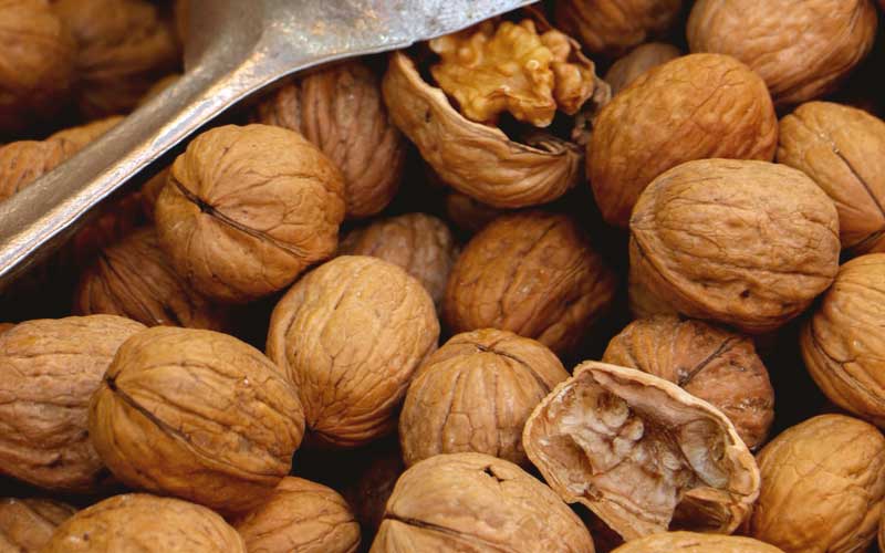 "eating walnut may help in stomach infection"