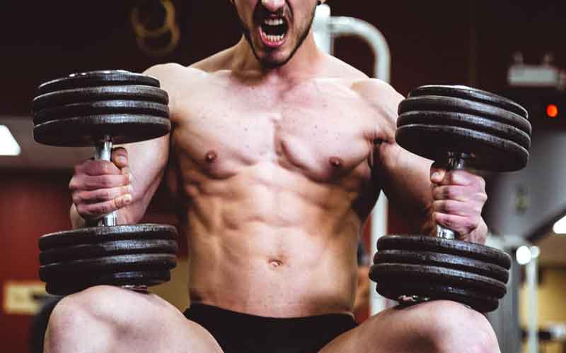 "research finds animal-based protein intake better for muscle performance"