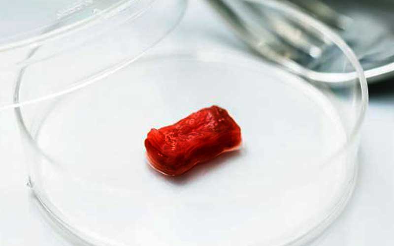 "Tokyo university researchers construct steak like bovine muscle tissue in lab"