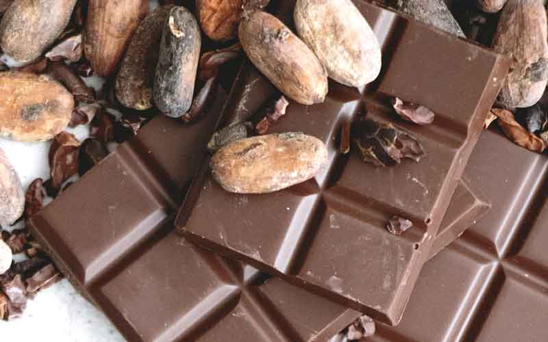 Cocoa may help in weight loss, fatty liver disease