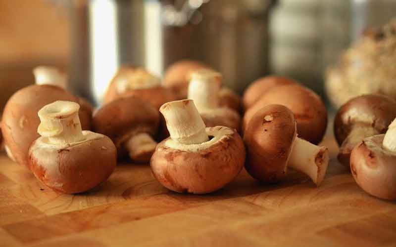 Higher mushroom consumption associated with lower risk of cancer