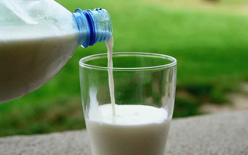 drinking milk does not increase cholesterol: study