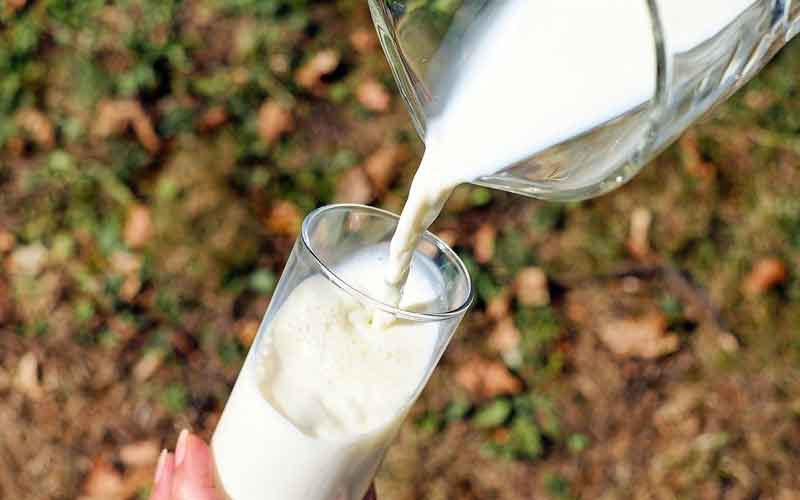 Spain scientists claim cow milk a possible source of COVID-19 control