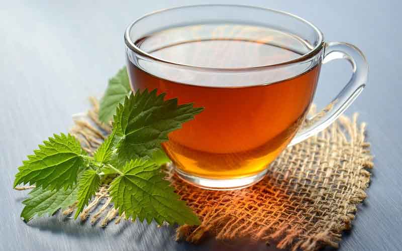 Green tea may be potential to help tackle COVID-19: Study