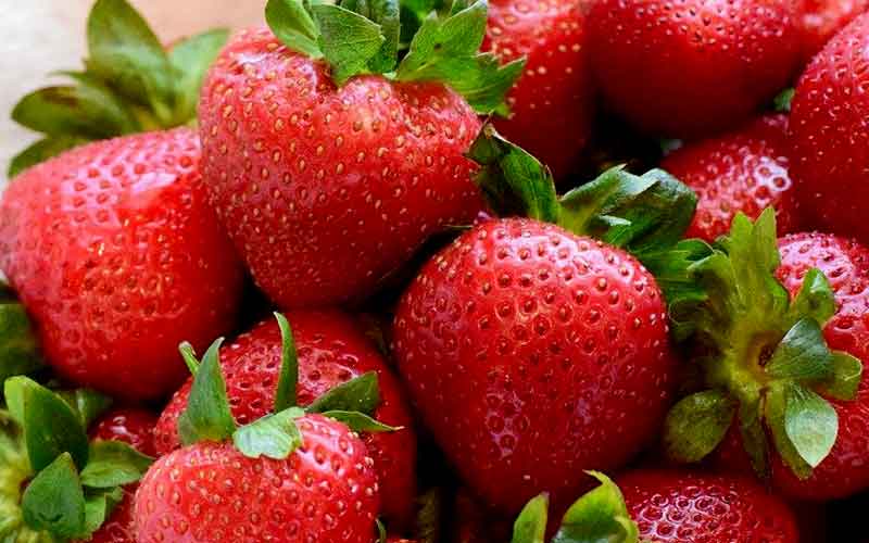 Study shows strawberries lower serious health risks