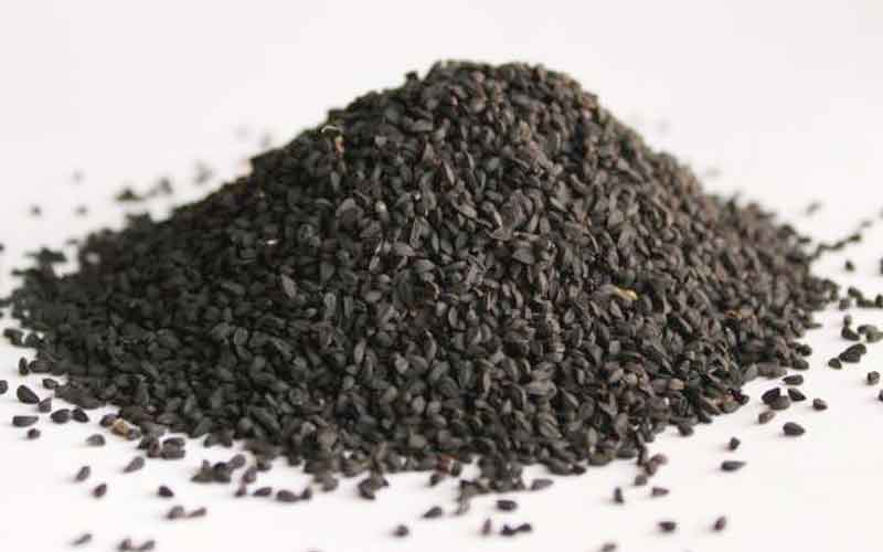 Nigella Sativa plant seeds aka Kalonji may treat COVID-19 infection