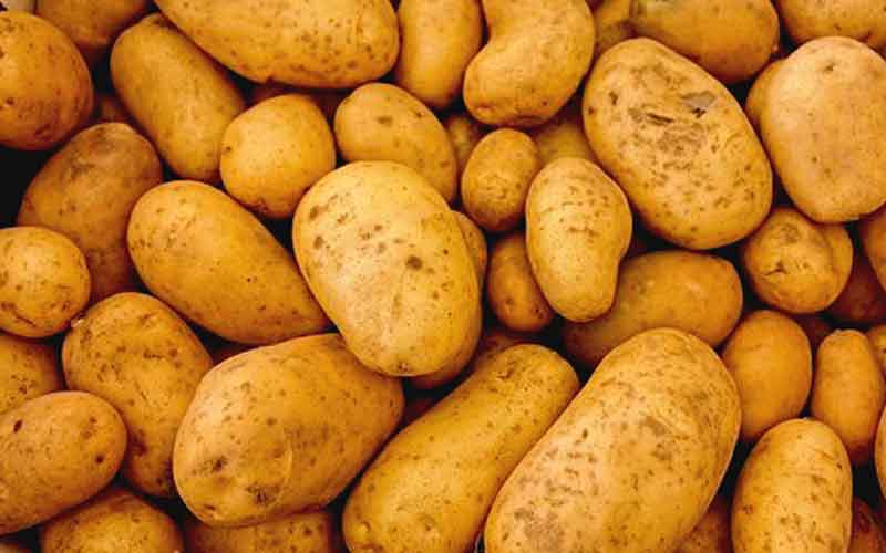 Eating potatoes improve nutrients intake and adequacy among adolescents