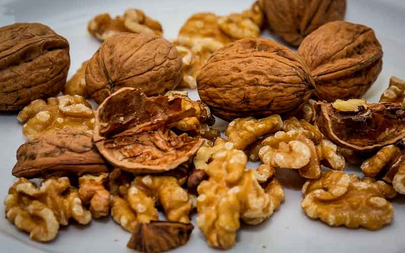 Walnut consumption increases life expectancy, finds Harvard research