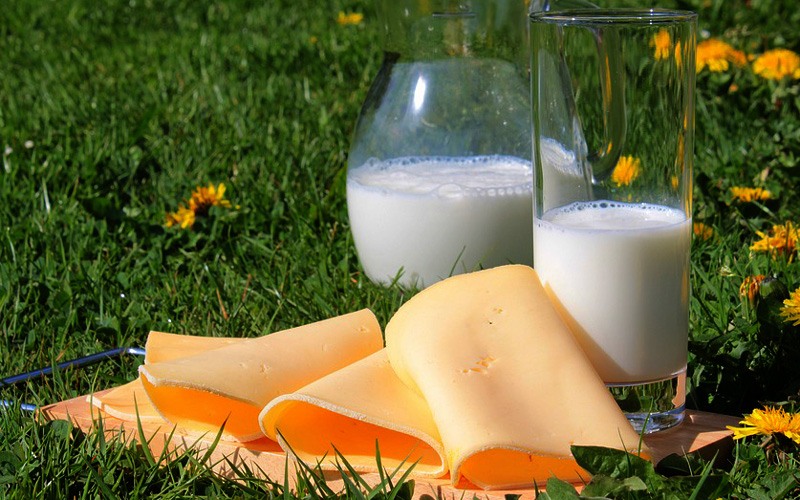 Calcium and protein from milk products reduce falls and fractures risks