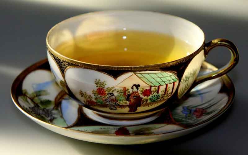 Green tea catechins may enhance fitness and lifespan of humans