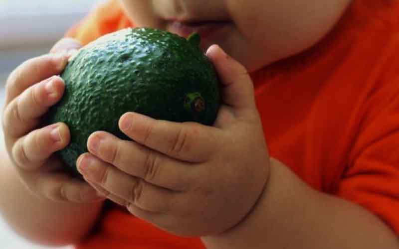 Childhood obesity linked with mother's unhealthy diet before pregnancy