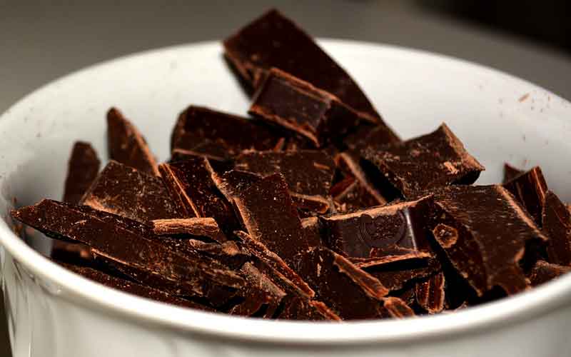 Consumption of 85 percent cocoa dark chocolate improves mood in association with gut microbial changes