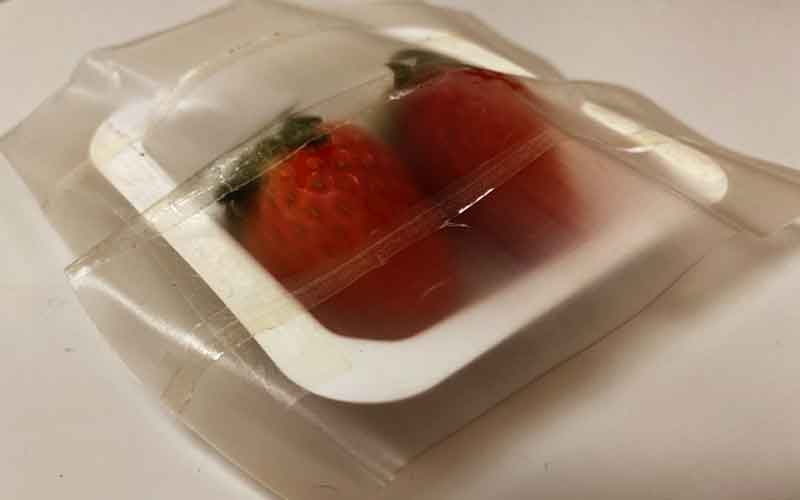 Scientists develop smart and sustainable food packaging that keeps harmful microbes at bay