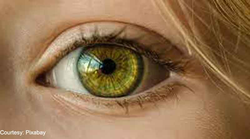 Difference between retina’s biological age and person’s real age linked to heightened death risk