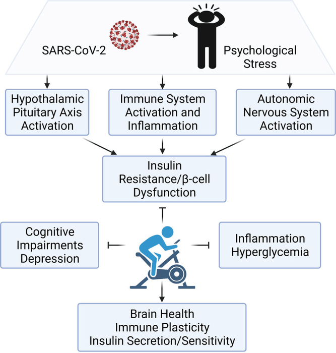 Credit: Dr. Candida Rebello, Pennington Biomedical Research Center