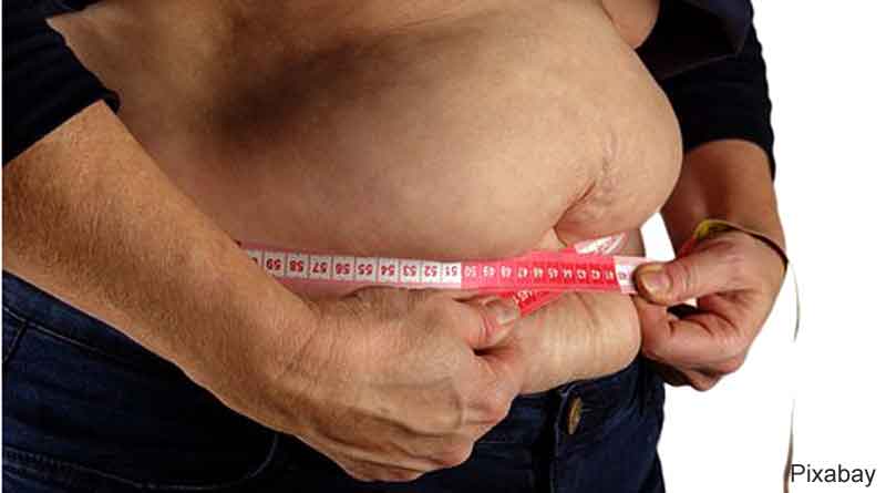 Greater body fat a risk factor for reduced thinking and memory ability