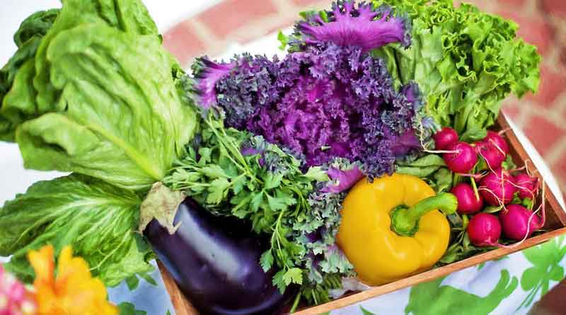 organic vegetables contaminated with wide range of disease-causing microbes