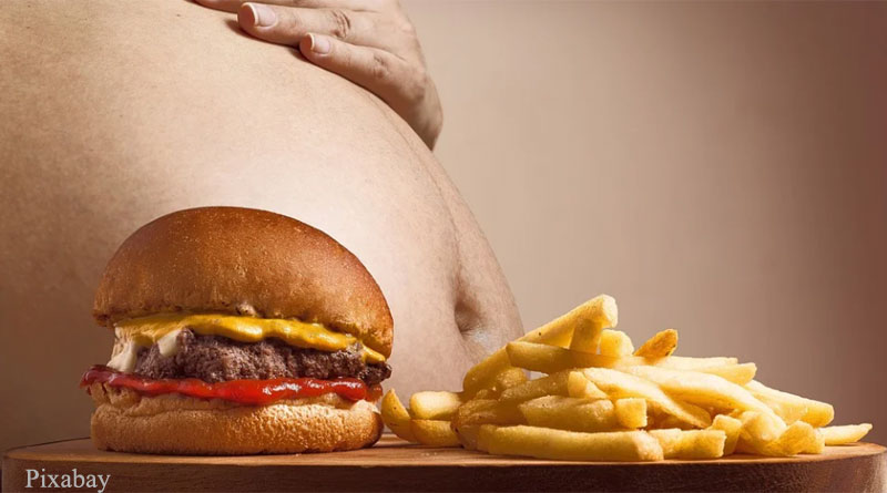 Long term high-fat diet causes obesity, diabetes and shrinks brain