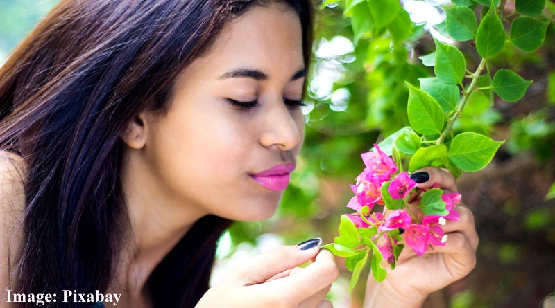 Nature smells evoke positive wellbeing in humans