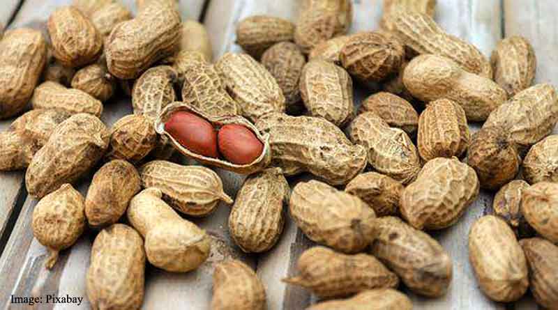 35 gram peanuts prior to two main meals per day may contribute to weight loss