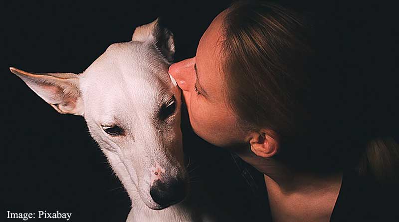 pet playing a more central role than humans in owner's life may lower resilience, wellbeing and increased loneliness