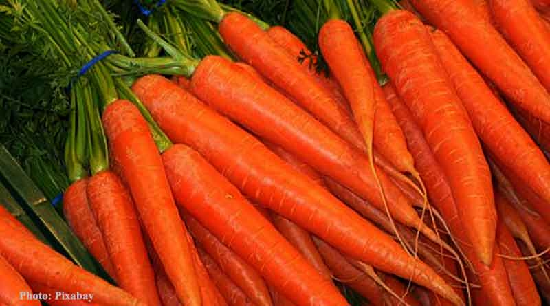 Vitamin A preserves cardiac energetic gene expression in diet-induced obesity: Study