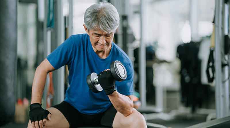 Exercise preserves physical fitness during aging through AMPK and mitochondrial dynamics