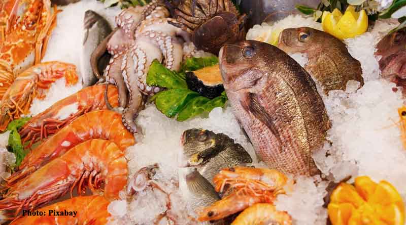 Omega 3 fatty acids in seafood linked to lower risk of chronic kidney problems: Study