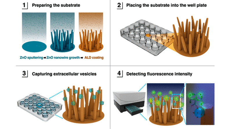 "Nanowire Assay System"