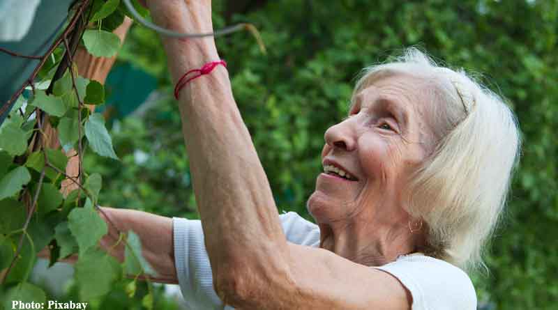 slow walks and light gardening can reduce risk of sarcopenia in older adults