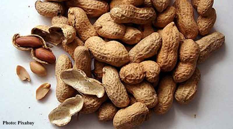 Peanuts For Vascular Health