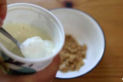 Full-fat yogurt