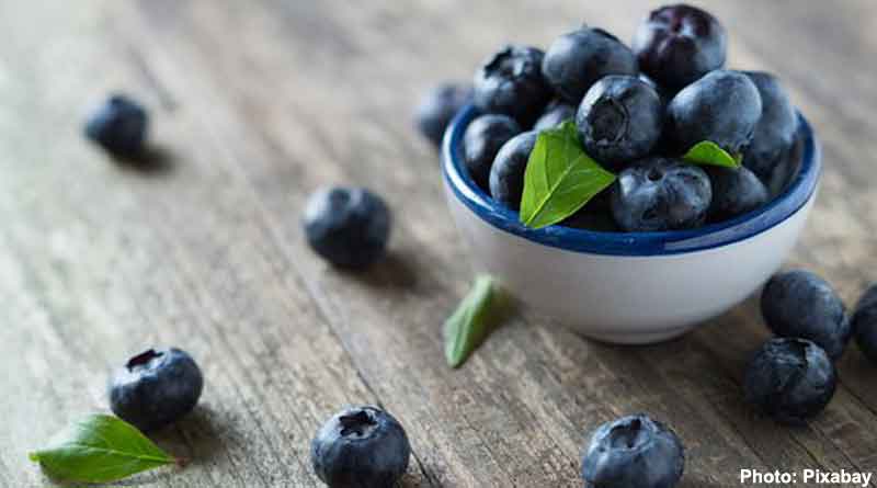 blueberries for fat burn