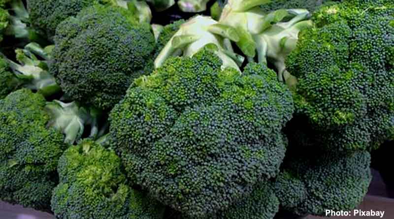 Broccoli for gastrointestinal tract