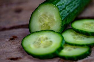 cucumber in osteoarthritis