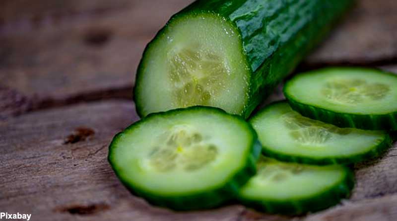 cucumber in osteoarthritis