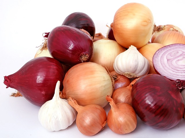 Five foods including onion and garlic are rich in prebiotics, find scientists 