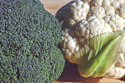 alt= "broccoli or cauliflower can help to ease lung infection"