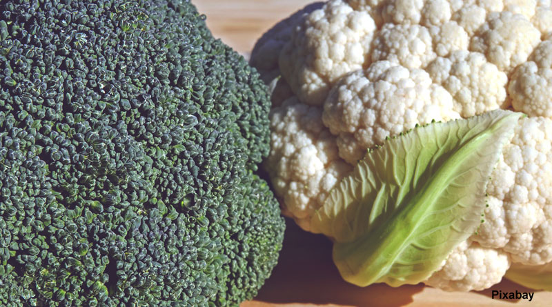 alt= "broccoli or cauliflower can help to ease lung infection"