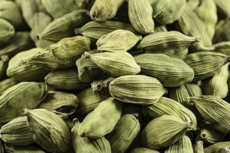 Cardamom consumption can help maintain lean body weight and reduce fat