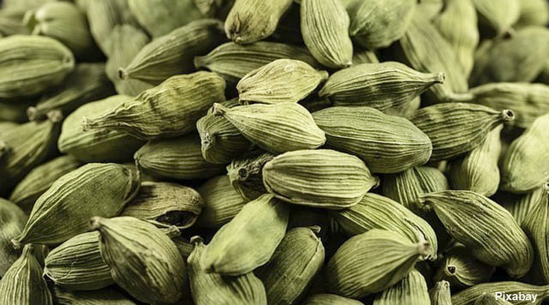 Cardamom consumption can help maintain lean body weight and reduce fat