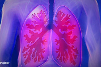 alt= people with low levels of vitamin K have less healthy lungs