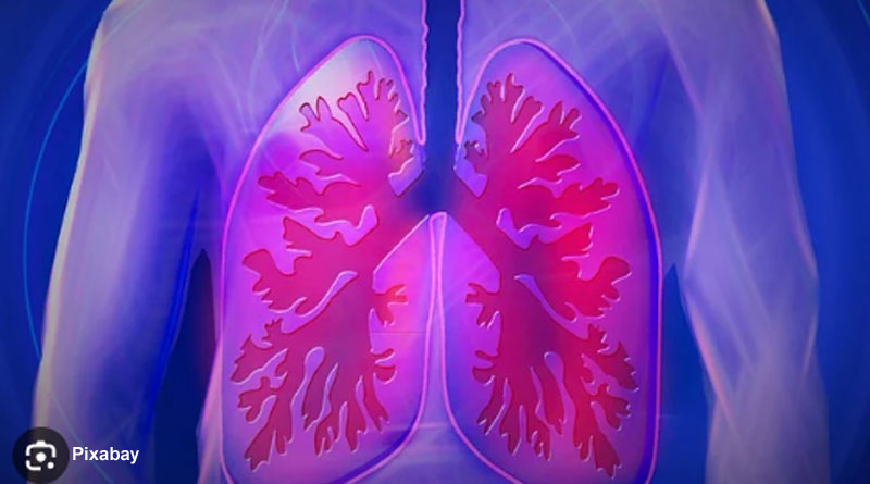 alt= people with low levels of vitamin K have less healthy lungs