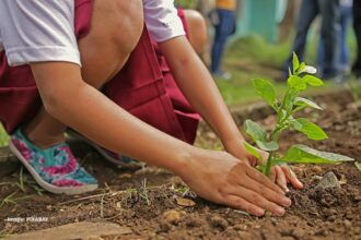 alt="low intensity exercise like gardening for depression"