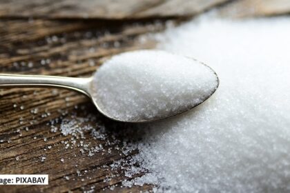 alt="Sugar Xylitol"