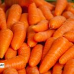 alt="baby carrots"