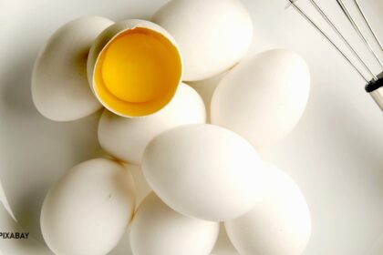 alt="white eggs"