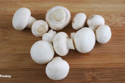 alt="anti-cancer white button mushrooms"